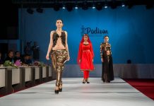 «Каждый житель Дона — творец»: в Ростове представляли новый сборник о креативной экономике Показ мод //фото пресс-службы дгту