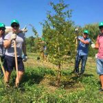 Субботник Сбербанка на Карасунских озерах в Краснодаре //Фото предоставлено пресс-службой Сбербанка