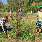 Субботник Сбербанка на Карасунских озерах в Краснодаре //Фото предоставлено пресс-службой Сбербанка