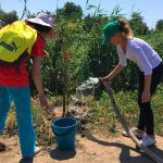 Субботник Сбербанка на Карасунских озерах в Краснодаре //Фото предоставлено пресс-службой Сбербанка