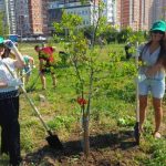 Субботник Сбербанка на Карасунских озерах в Краснодаре //Фото предоставлено пресс-службой Сбербанка