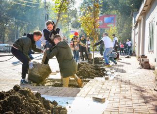 В День древонасаждения в Ростове посадят 2600 деревьев Высадка деревьев // Фото: пресс-служба администрации Ростова