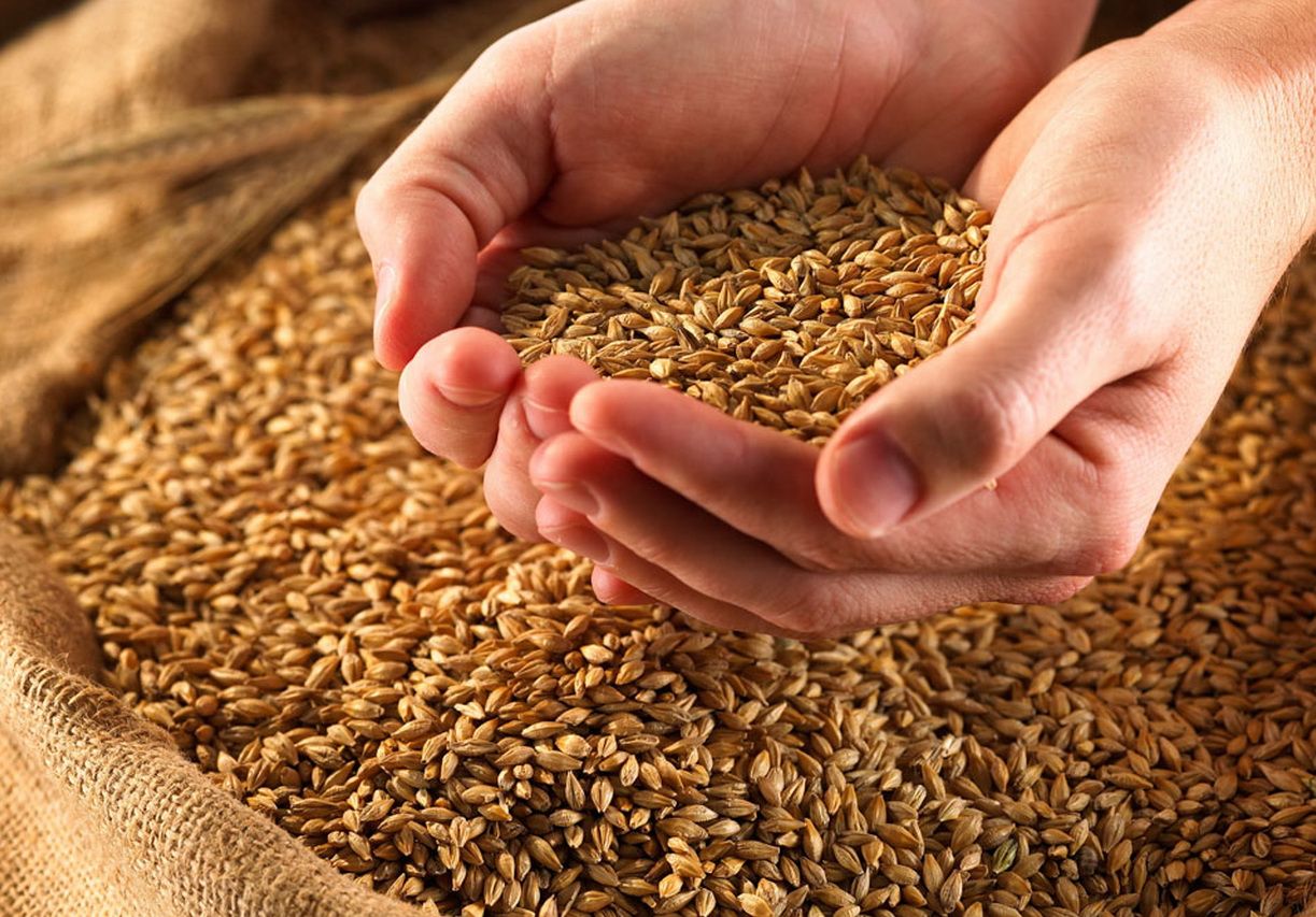 Таганрогское предприятие вошло в пятерку крупнейших экспортеров зерна в России