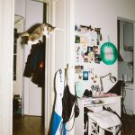 летающий кот // Фото: Daniel Gebhart de Koekkoek с сайта designyoutrust.com