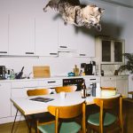 летающий кот // Фото: Daniel Gebhart de Koekkoek с сайта designyoutrust.com