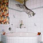 летающий кот // Фото: Daniel Gebhart de Koekkoek с сайта designyoutrust.com