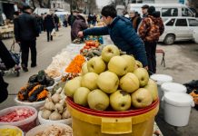 Сельхозярмарки пройдут в нескольких городах Ростовской области в субботу Ярмарка // Фото: пресс-служба администрации Ростова