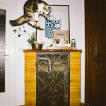 летающий кот // Фото: Daniel Gebhart de Koekkoek с сайта designyoutrust.com