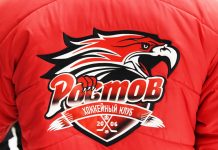 ХК «Ростов» досрочно становится чемпионом Первенства ВХЛ Эмблема ХК "Ростов" // Фото: Дарья Бланк