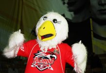 ХК «Ростов» одержал две победы подряд в рамках ВХЛ Талисман ХК "Ростов" // Фото: Дарья Бланк