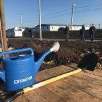 Все готово к посадке кленов и тополенй на привокзальной площади аэропорта "Платов" //Фото: "Городской репортер", Олег Китаев