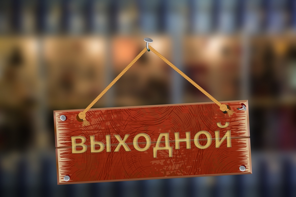 ЛДПР предлагает сделать 31 декабря выходным для женщин Ростовской области
