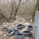 Коммунальщики в преддверии форума ОНФ убрали стихийные свалки в Ростове-на-Дону //Фото предоставлено ростовским отделением Общероссийского народного фронта