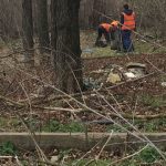 Коммунальщики в преддверии форума ОНФ убрали стихийные свалки в Ростове-на-Дону //Фото предоставлено ростовским отделением Общероссийского народного фронта