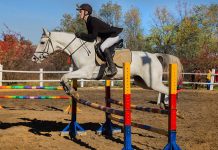 В Ростове проанализируют спрос на услуги ипподрома на левом берегу Дона Скачки //Фото предоставлено КСК "Покровские зори"