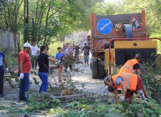 Ростовчан приглашают на общегородской субботник Субботник // Фото: пресс-служба администрации Ростова