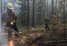 На юго-востоке Ростовской области фиксируется чрезвычайная пожароопасность Тушение пожара в Усть-Донецком районе Ростовской области //фото пресс-службы Рослесхоза