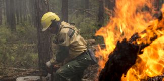 В Ростове ввели особый противопожарный режим Тушение пожара в Усть-Донецком районе Ростовской области //фото пресс-службы Рослесхоза