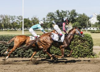 Ростовский ипподром закроют ради строительства новых ЖК Скачки на Ростовском ипподроме //фото пресс-службы правительства Ростовской области