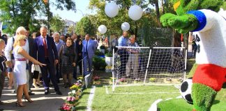 В Ростове представили цветочные композиции на тему чемпионата мира по футболу Футбольная инсталляция //фото пресс-службы администрации Ростова-на-Дону