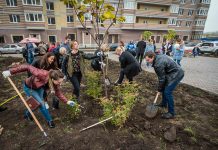 Разработку проекта озеленения Ростова оценили в 600 млн рублей Праздник древонасаждения в ЖК «Екатерининский» //Фото пресс-службы КОМСТРОЙ