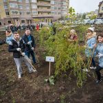 Праздник древонасаждения в ЖК «Екатерининский» //Фото пресс-службы КОМСТРОЙ