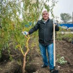 Праздник древонасаждения в ЖК «Екатерининский» //Фото пресс-службы КОМСТРОЙ