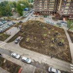 Праздник древонасаждения в ЖК «Екатерининский» //Фото пресс-службы КОМСТРОЙ