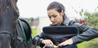 Почтальон из Подмосковья, развозящая посылки на коне, станет лицом Aliexpress Мария Рубцова // фото предоставлено Почтой России