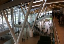 Платов расширил направления для перевозки международных грузов