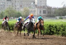 Ростовский ипподром откроет сезон во второй декаде мая