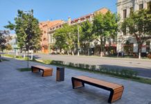 В центре Ростова планируют высадить лаванду