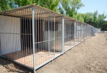 В Ростове новый центр безнадзорных животных может заработать завтра Вольеры для животных //Фото: пресс-служба администрации