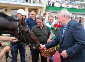 Ростовские конники пытаются спасти ипподром от застройки На ростовском ипподроме прошли скачки на Кубок губернатора //Фото: пресс-служба правительства Ростовской области