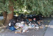 Почти 70 млн руб потратят на ликвидацию свалок в Ростове в 2022 году