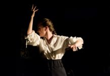 В Ростовской области стартовал театральный фестиваль «Мельпомена»