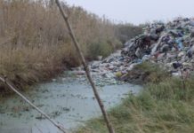 Юрий Слюсарь объявил войну «серым возчикам» Свалка //Фото: следственный комитет РФ по региону