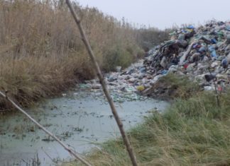 Юрий Слюсарь объявил войну «серым возчикам» Свалка //Фото: следственный комитет РФ по региону