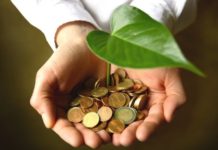 Минприроды Ростовской области за 2018 год выписало штрафы на 39 млн рублей Деньги на экологию //фото с сайта agromarketing.mx
