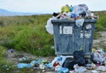 В Ростовской области регоператора по вывозу ТКО лишили статуса //фото с сайта АиФ-Ростов