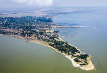 Креветка-песчанка появилась в Таганрогском заливе Таганрогский залив//Фото: Наука и жизнь