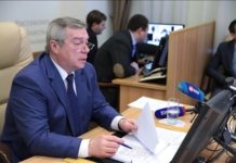 На онлайн-связь с Василием Голубевым вышли жители четырех районов области