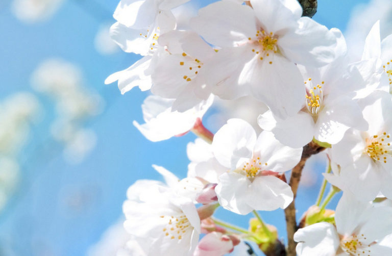 //Фото: Администрация города Томска