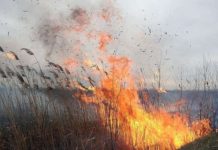 В ближайшие дни по Ростовской области сохраняется чрезвычайная пожароопасность