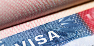 Гринкард онлайн Виза //фото: news-24.ru