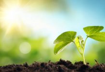 Ростовская область присоединится к экологическому диктанту