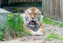 В Ростовском зоопарке снизили цены на билеты