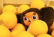 «Союзмультфильм» подал новые иски к предпринимателям Ростовской области из-за Чебурашки //Фото: Еда +