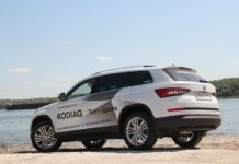 Ростовчан приглашают на тест-драйв ŠKODA KODIAQ