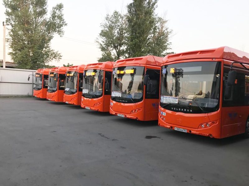 Новые автобусы//Фото: ИПОПАТ-Юг